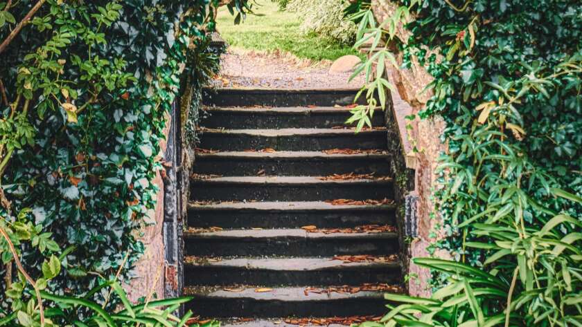 Garden Pathway with Stairs
