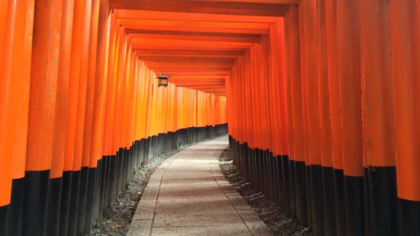 Pathway Under Torii Gates