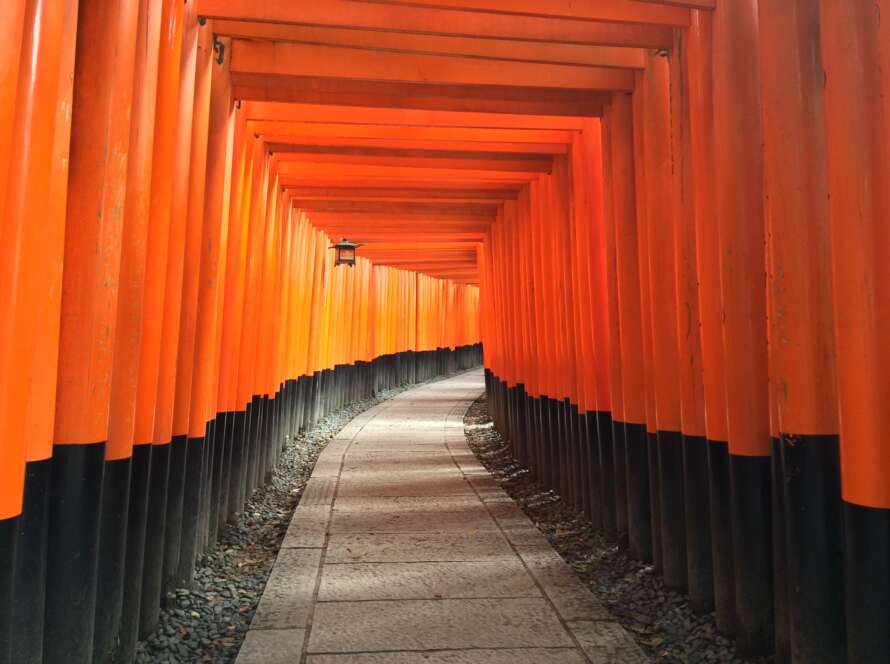 Pathway Under Torii Gates