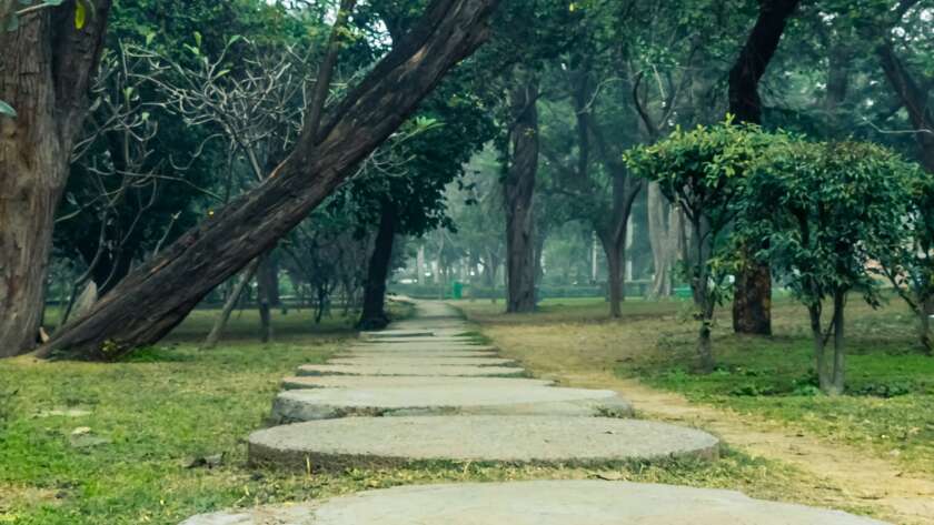 Round Stone Pathway Through Park