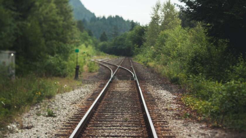 Railway Pathway Through Trees