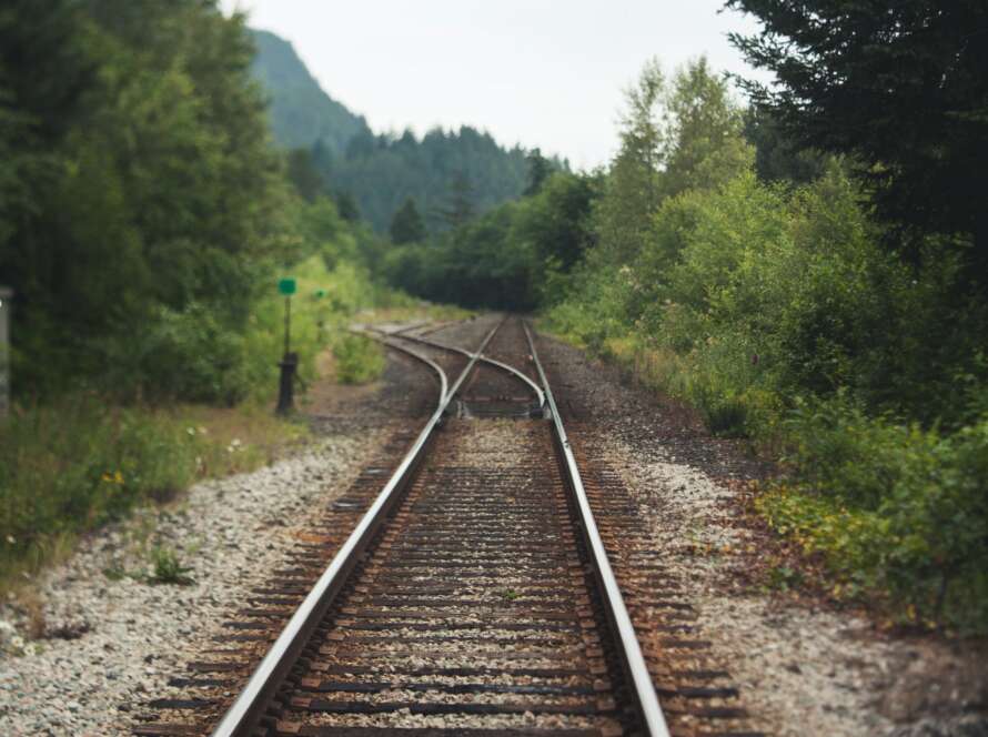 Railway Pathway Through Trees