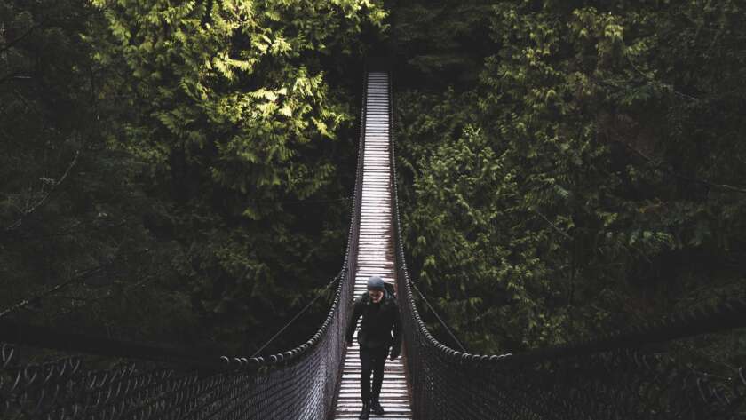 Suspension Bridge Pathway in Forest