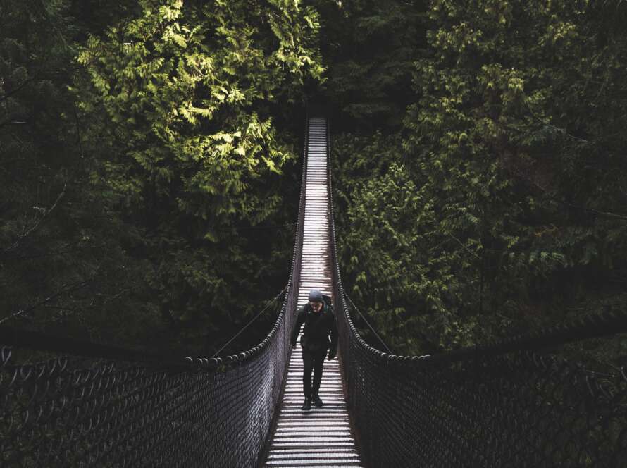 Suspension Bridge Pathway in Forest
