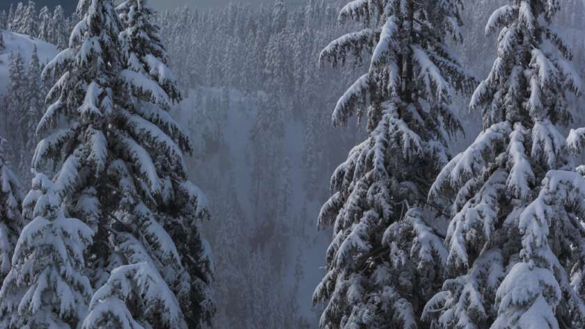 Pathway Through Snow on Cypress Mountain