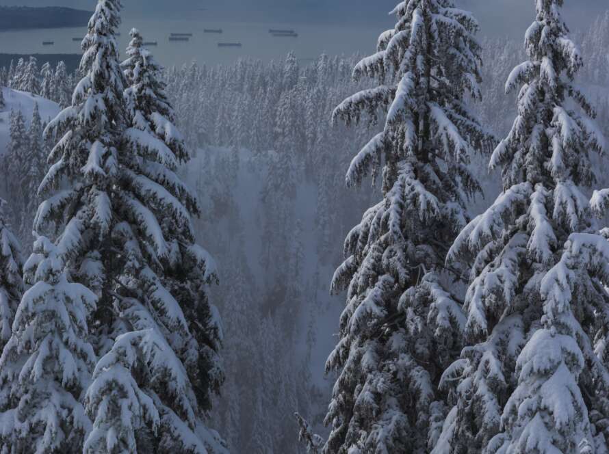 Pathway Through Snow on Cypress Mountain