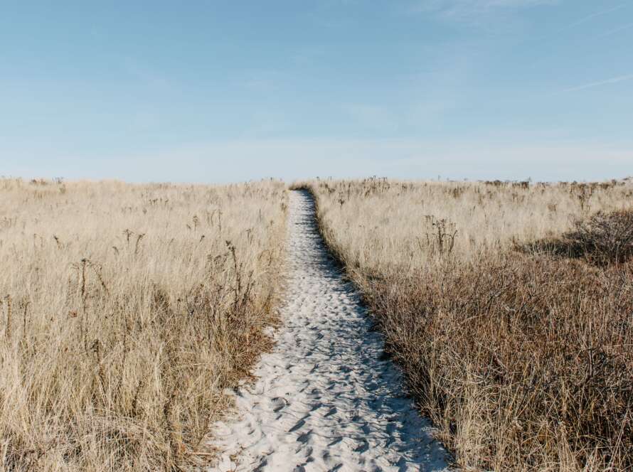 Sandy Pathway to Beach in Winter