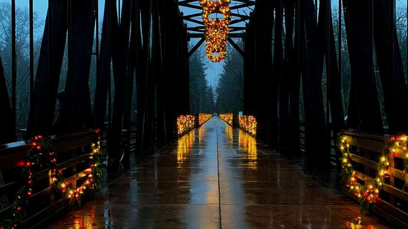 Bridge Pathway with Christmas Lights