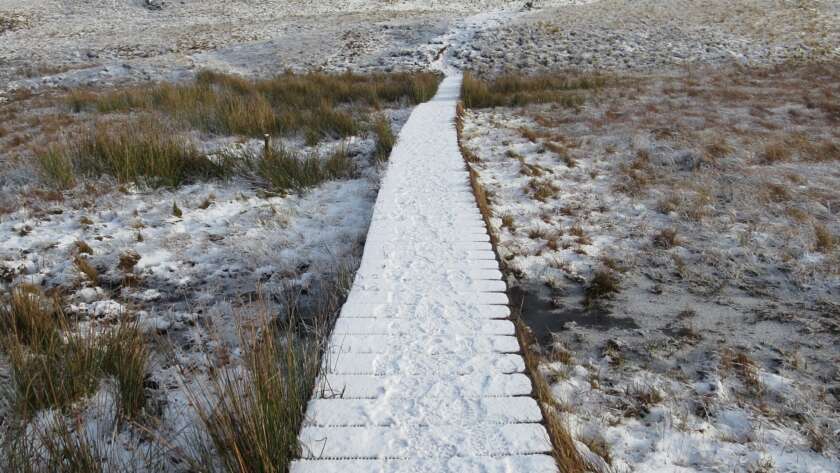 Snowy Boardwalk on Plains