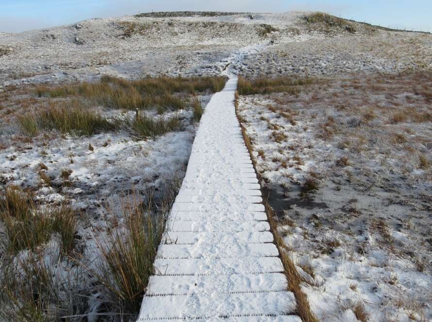 Snowy Boardwalk on Plains