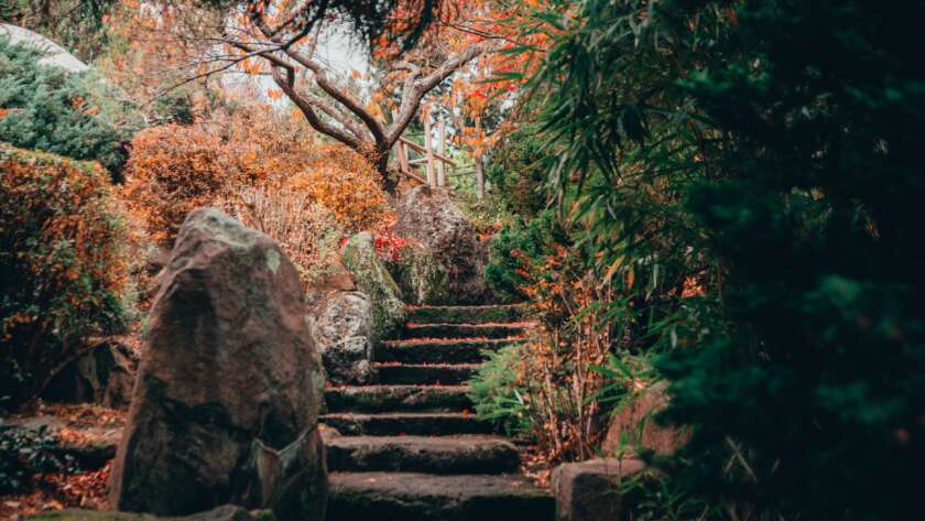 Pathway up Slate Stairs in Autumn Forest