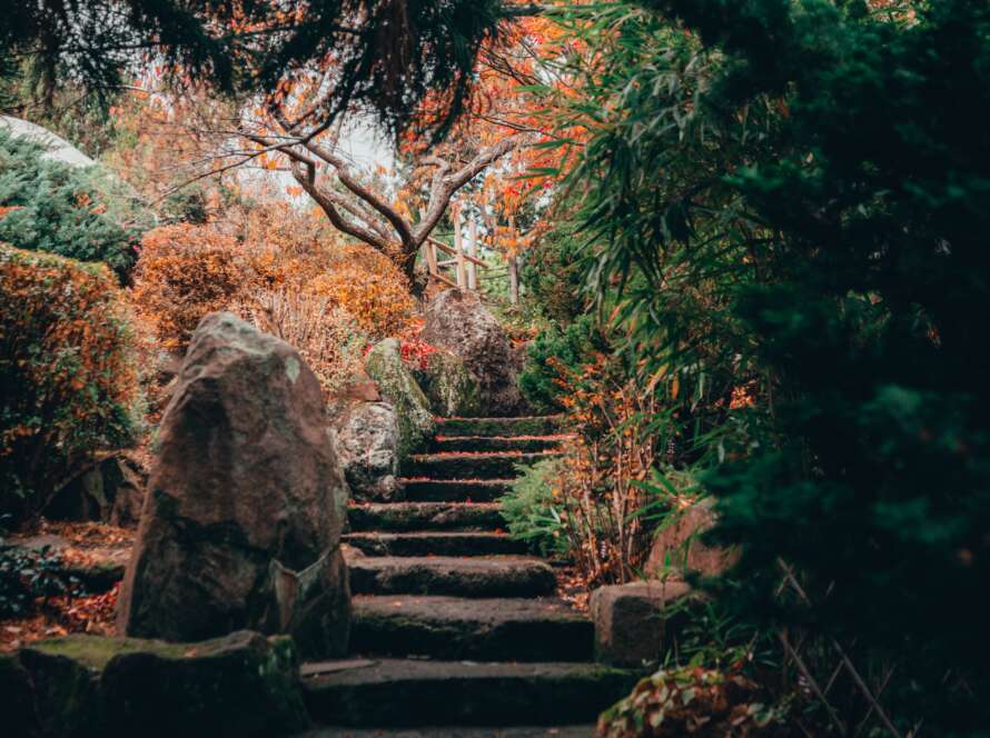 Pathway up Slate Stairs in Autumn Forest