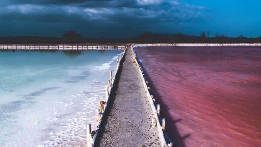 Boardwalk Pathway Between Coloured Water