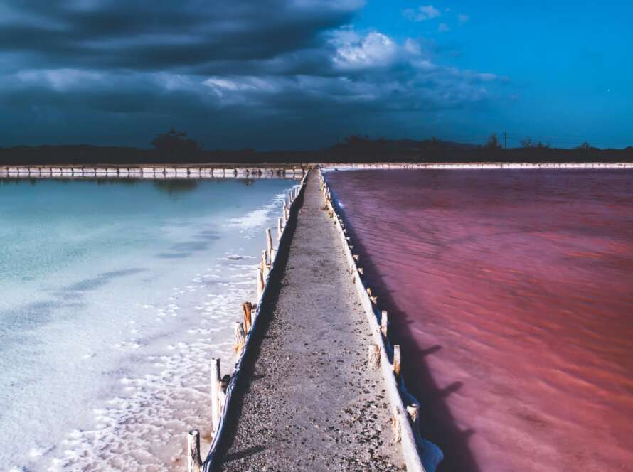Boardwalk Pathway Between Coloured Water