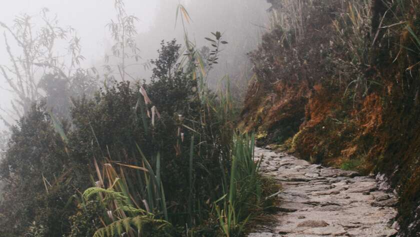 Rocky Pathway in Fog