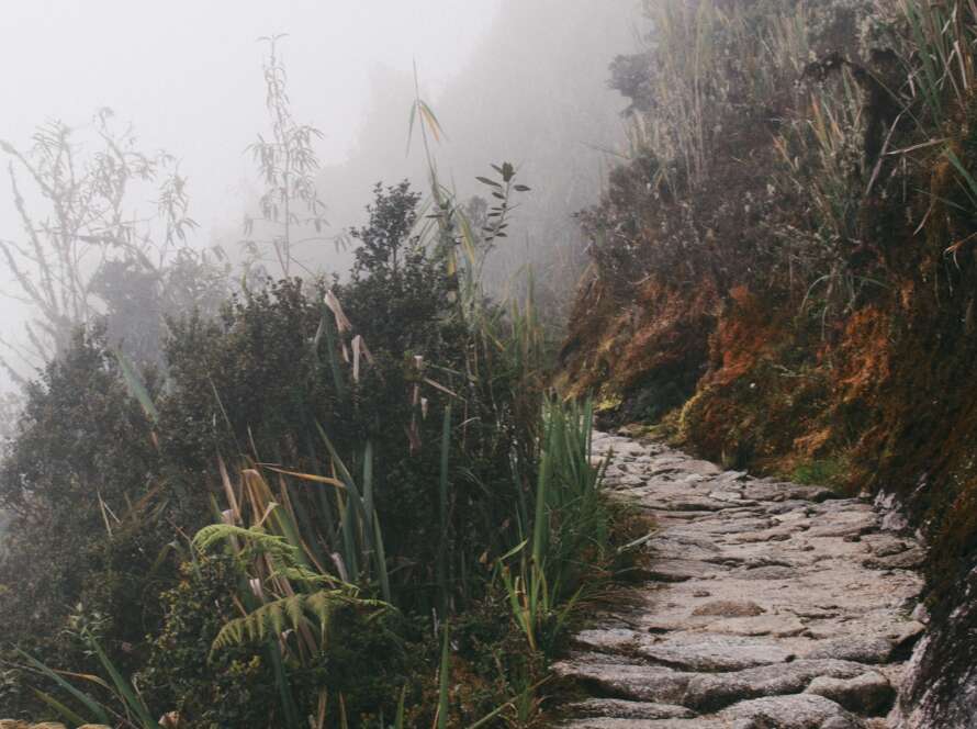 Rocky Pathway in Fog