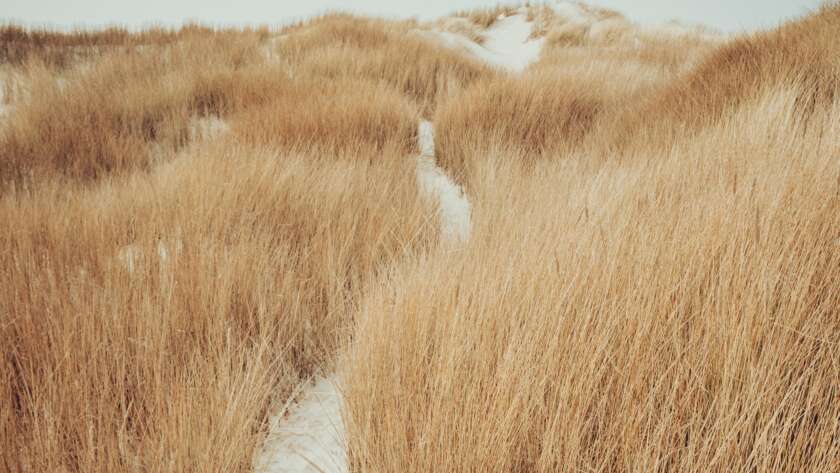 Sandy Pathway To Beach