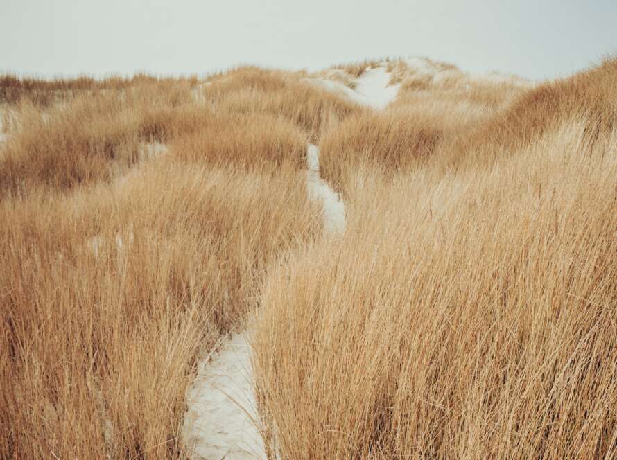 Sandy Pathway To Beach