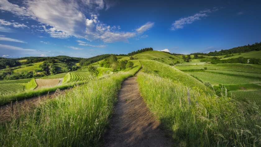 Pathway Through Meadows and Hills
