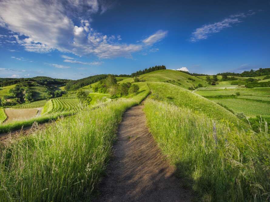 Pathway Through Meadows and Hills