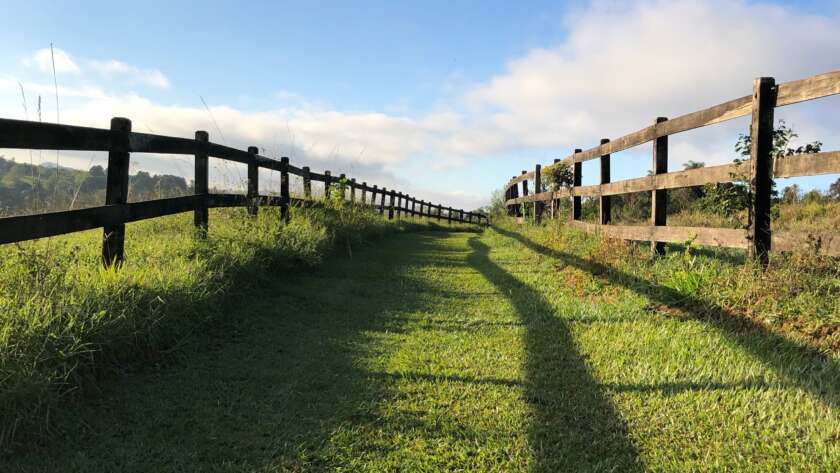 Fenced Green Pathway